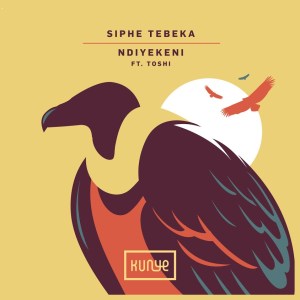 Siphe Tebeka, Toshi Ndiyekeni (Edit)