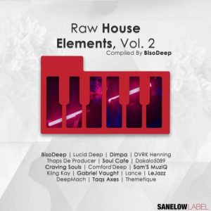 ALBUM: Various Artists – Raw House Elements, Vol. 2 (Compiled by BisoDeep)