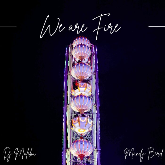 DJ Malibu & Mandy Bird – We Are Fire (Vocal Mix)