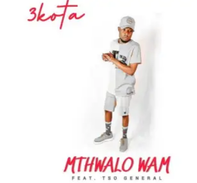 3Kota – Mthwalo Wami ft. TSO General