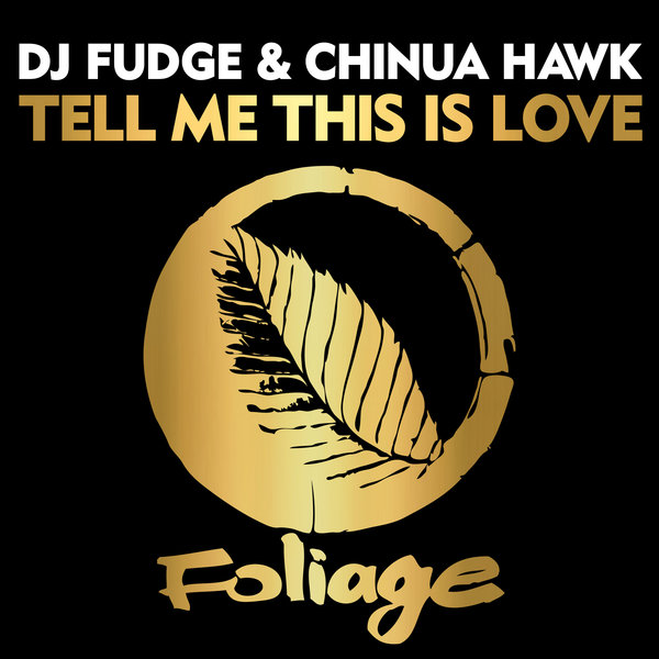 DJ Fudge & Chinua Hawk – Tell Me This Is Love (Vocal Mix)