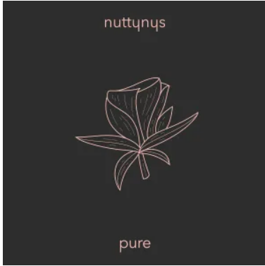 Nutty Nys – Pure