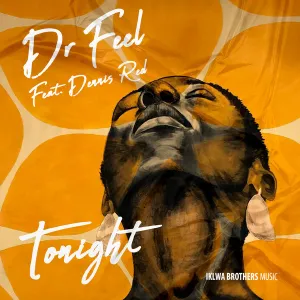 Dr-Feel-Dennis-Red-–-Tonight-Original-Mix-mp3-download-zamusic