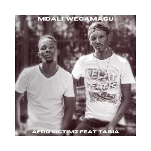 Afro-Victimz-Tabia-–-Mdali-WeCamagu-Original-Mix-mp3-download-zamusic