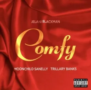 Jelani-Blackman-–-Comfy-ft-Moonchild-Sanelly-Trillary-Banks-mp3-download-zamusic