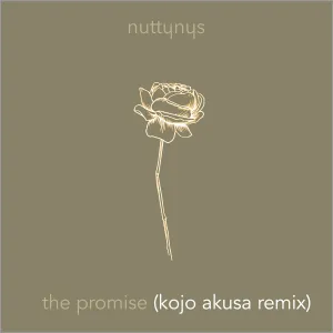 Nutty-Nys-–-The-Promise-Kojo-Akusa-Remix-mp3-download-zamusic