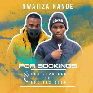 Nwaiiza-Nande-–-Price-To-Pay-mp3-download-zamusic
