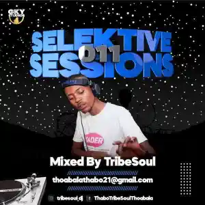 TribeSoul-–-Selektive-Sessions-011-Mix-mp3-download-zamusic