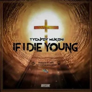 Tygaboy-Mukoni-–-If-I-Die-Young-mp3-download-zamusic