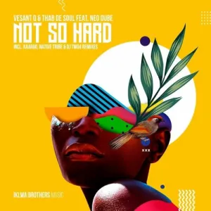 Vesant-Q-Thab-De-Soul-–-Not-So-Hard-ft.-Neo-Dube-mp3-download-zamusic