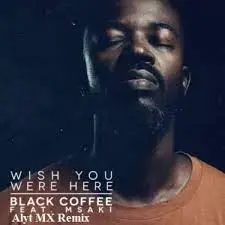 Black Coffee – Wish You Were Here Ft. Msaki (Alyt MX Remix)