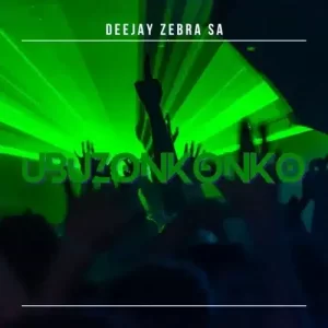 Deejay Zebra SA – Dance In Style