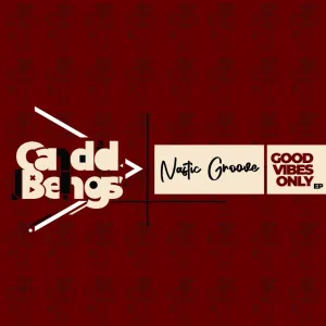 Nastic Groove – Good Vibes Only