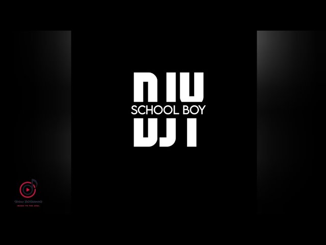 MP3: Djy School Boy – Hive