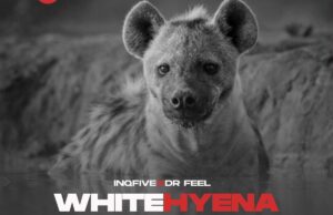 MP3: Dr Feel – White Hyena (Motivesoul Remix)