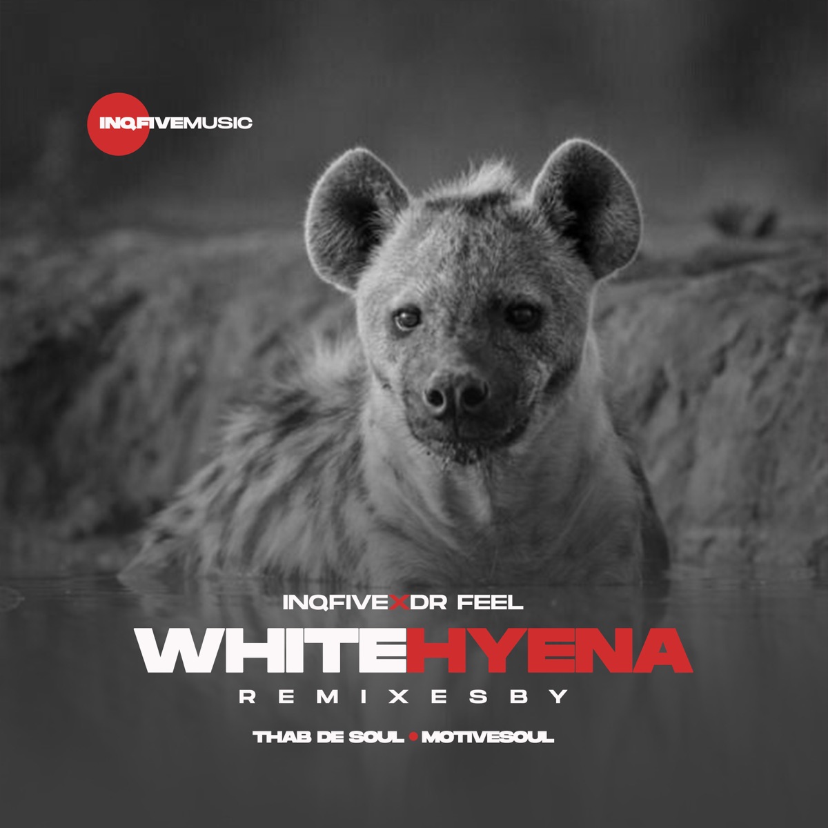 MP3: Dr Feel – White Hyena (Thab De Soul Remix)