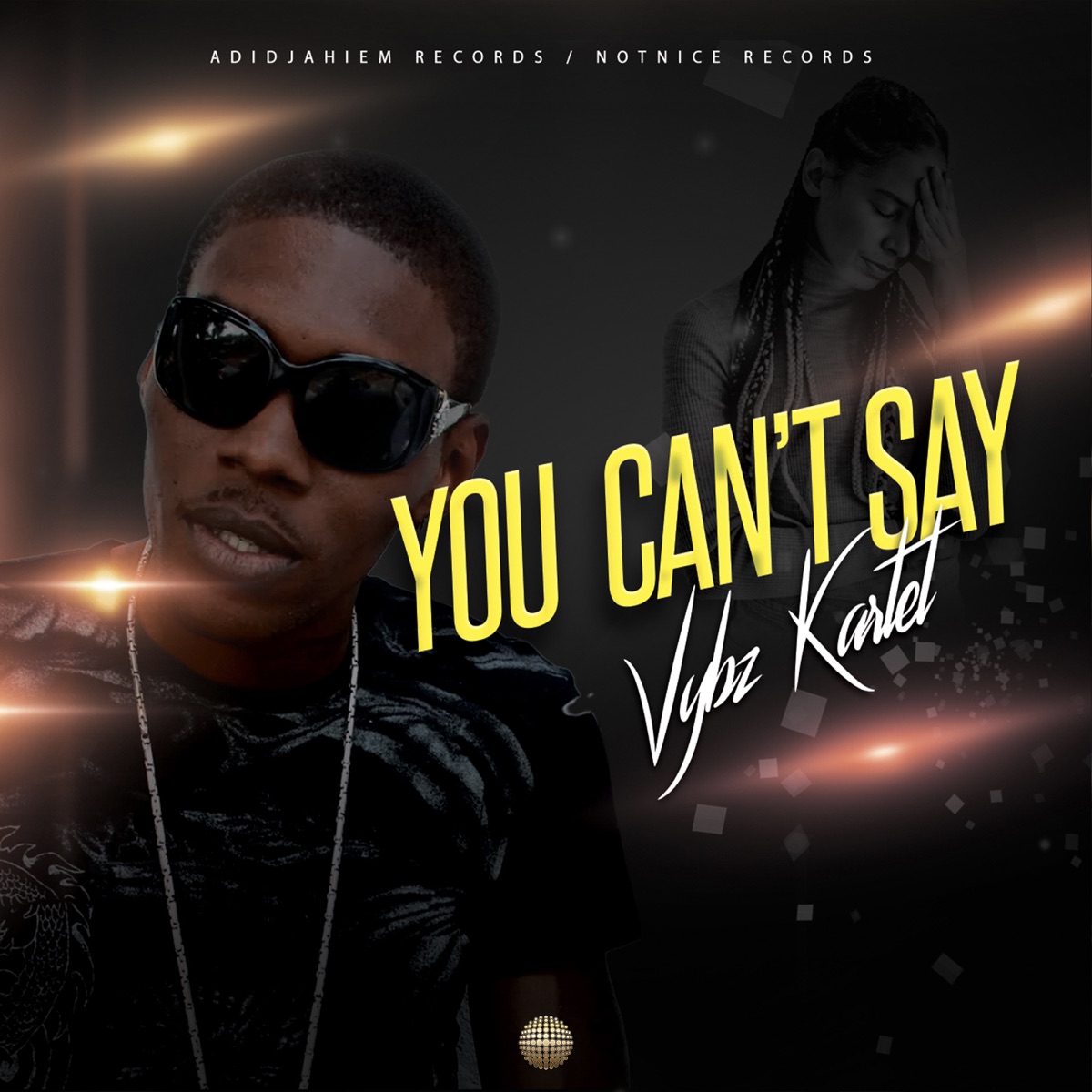 MP3: Vybz Kartel – You Can’t Say