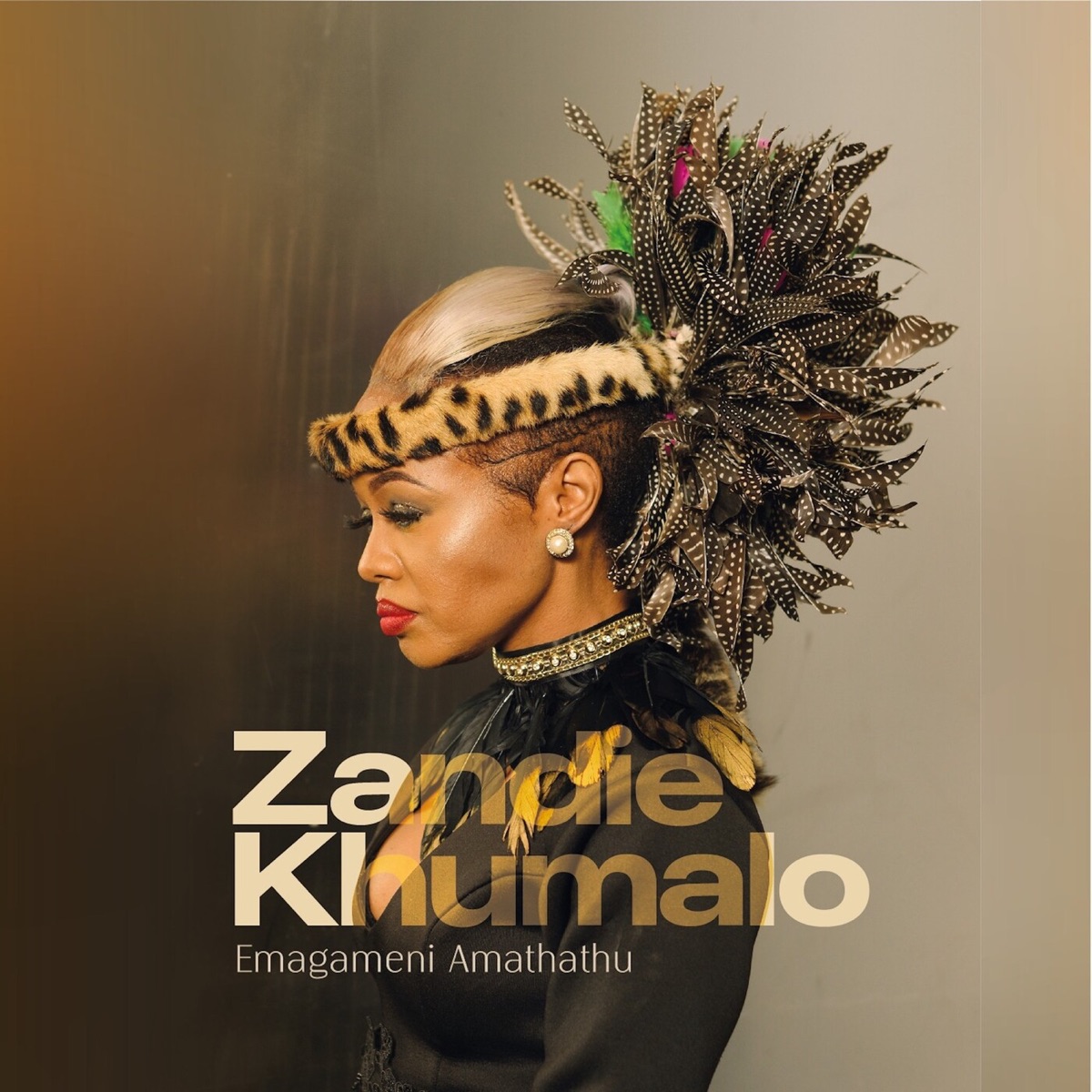 MP3: Zandie Khumalo – Emagameni Amathathu