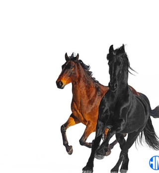 Lil Nas X – Old Town Road (Remix) ft Billy Ray Cyrus