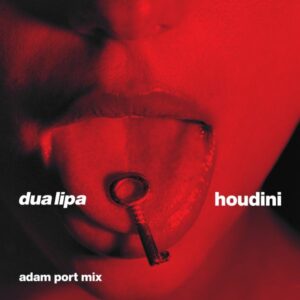 Dua Lipa – Houdini (Adam Port Mix)